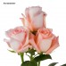 Роза 1 шт. (70 см), цвет в ассортименте